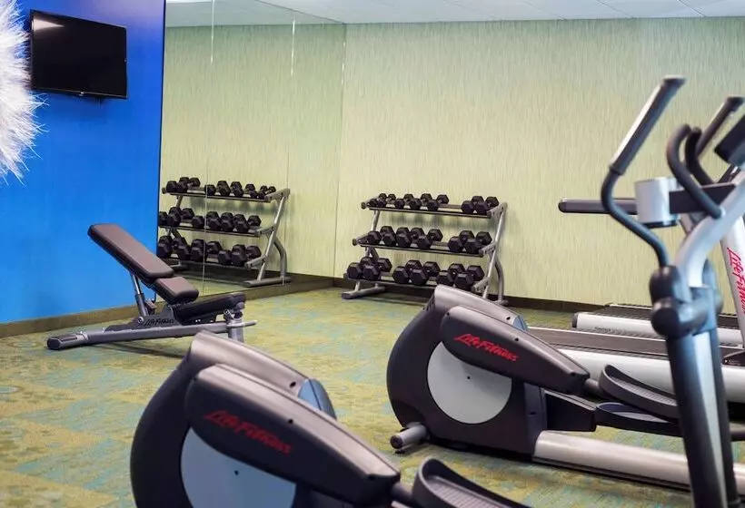 בית מלון כפרי Springhill Suites By Marriott Wisconsin Dells