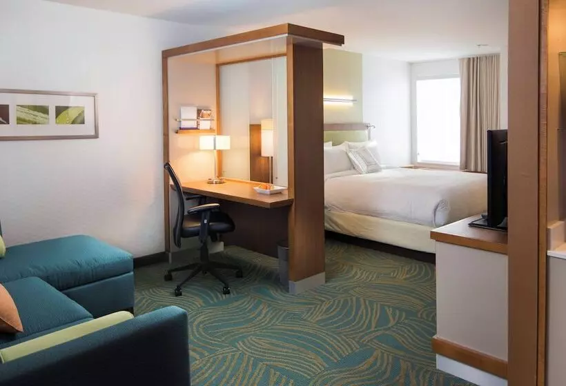 בית מלון כפרי Springhill Suites By Marriott Wisconsin Dells