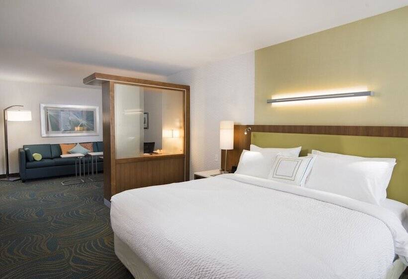 酒店 Springhill Suites By Marriott Wisconsin Dells