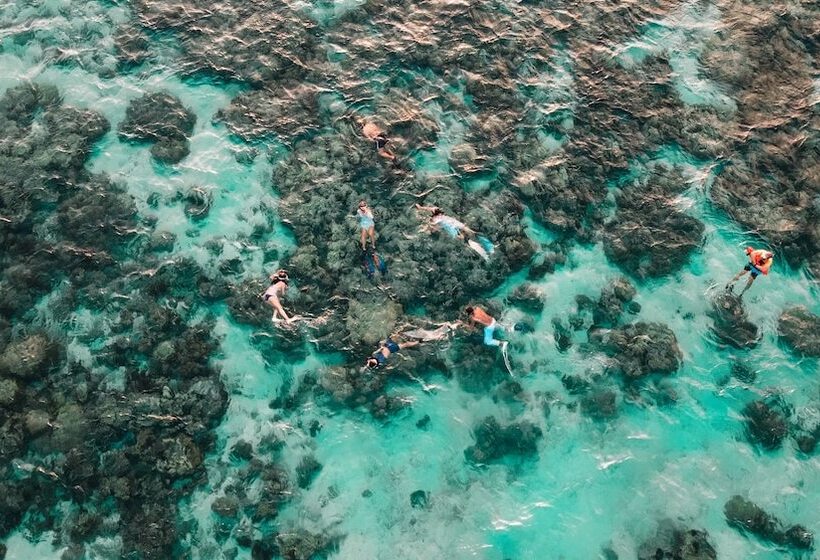 Hotel The Cliff Lipe