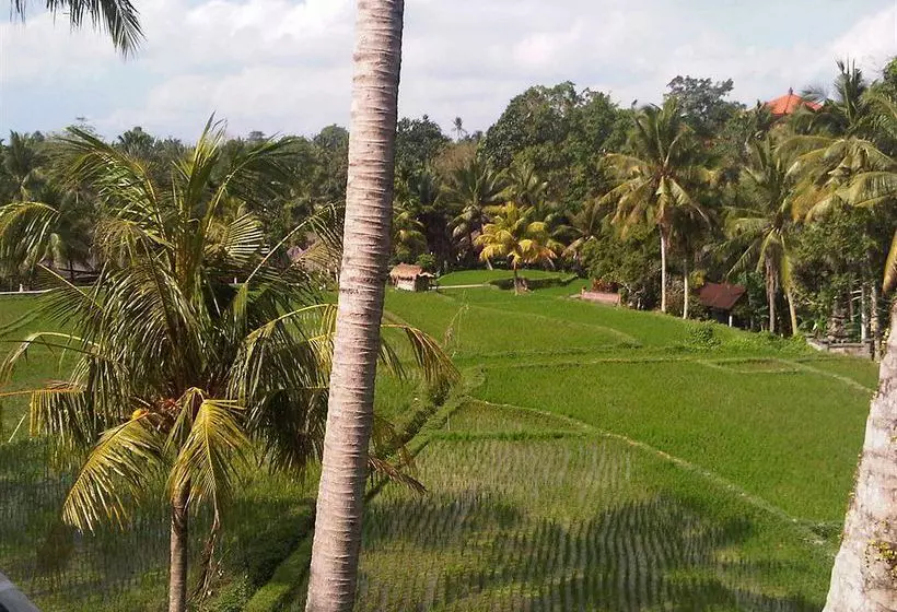 Motama Villa