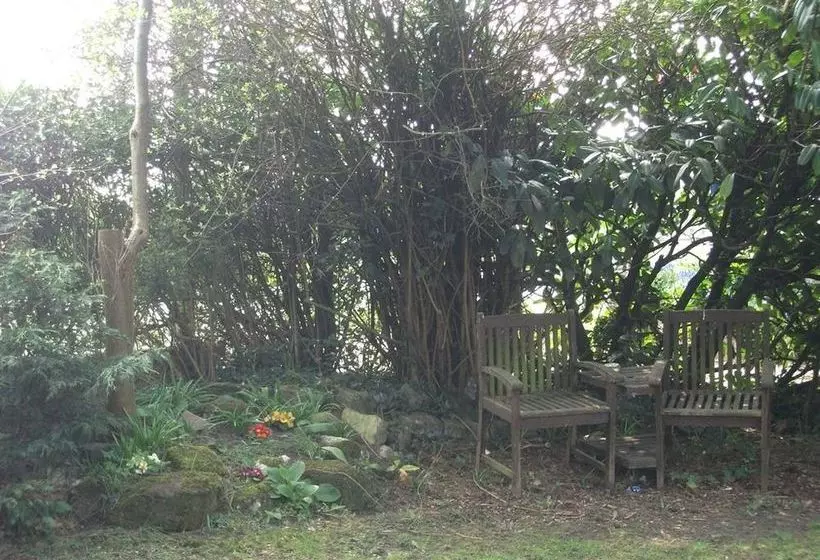 פנסיון Amber House