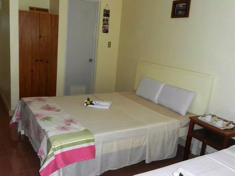 渡假胜地  Sunday Flower