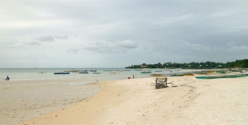 리조트 Sunday Flower