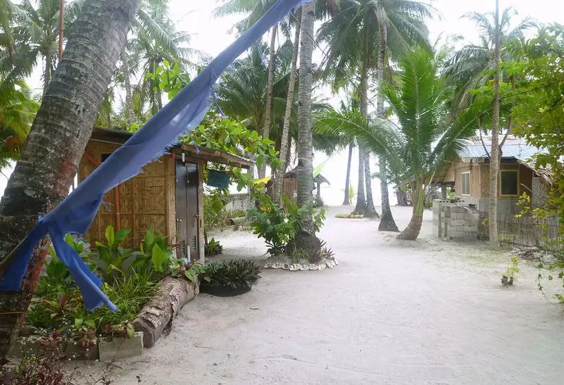 渡假胜地  Sunday Flower