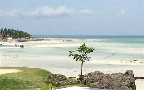 渡假胜地  Sunday Flower