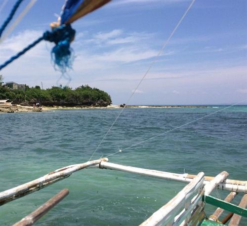 리조트 Sunday Flower