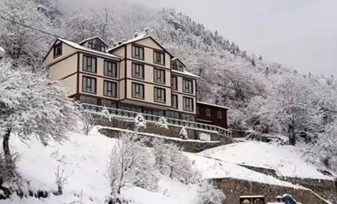 Alya Teras Otel