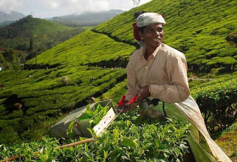 Atlas Airport Hotel Apartment