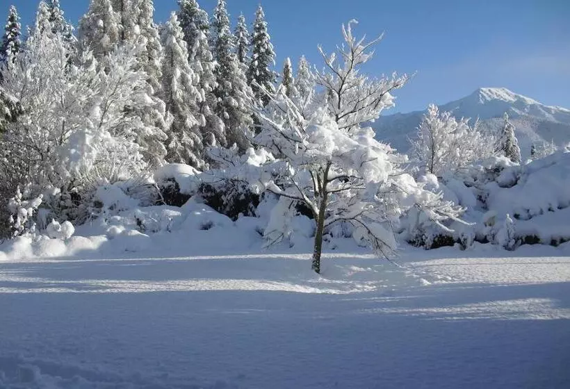 Bed and Breakfast Marchmont Gardens