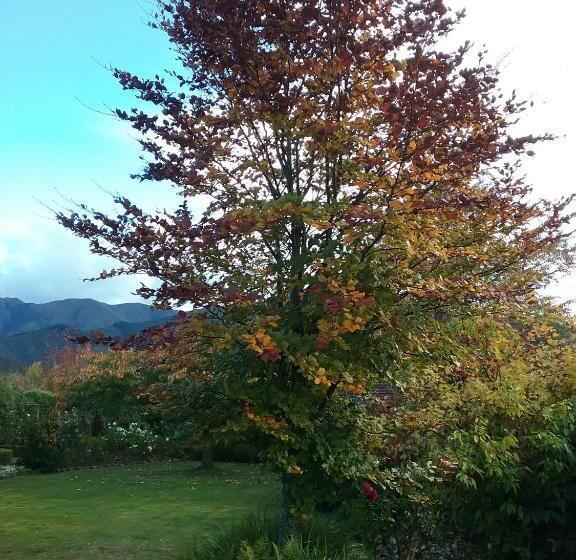 צימר Marchmont Gardens