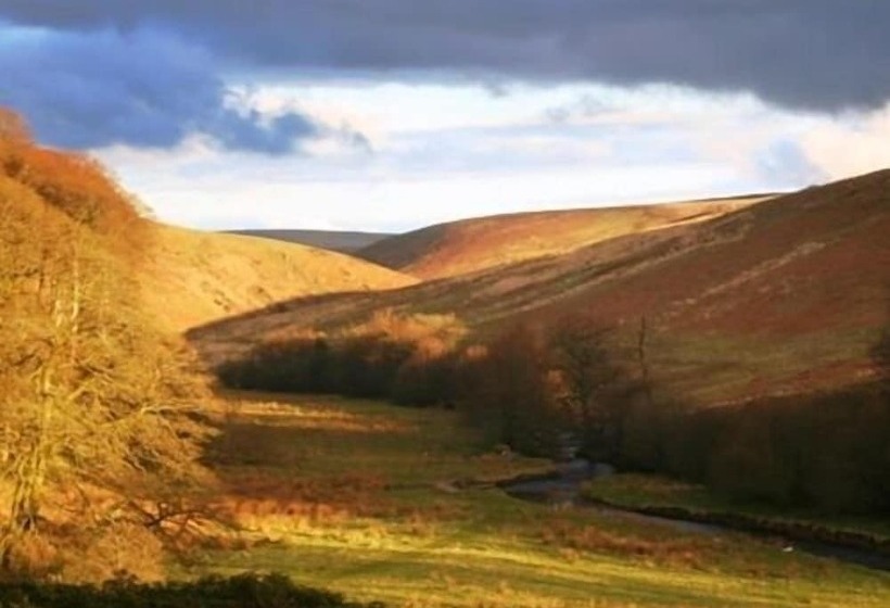 Bed and Breakfast Simonsbath House