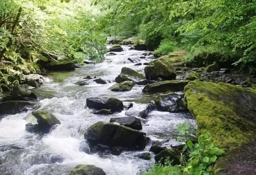 Bed & Breakfast Simonsbath House