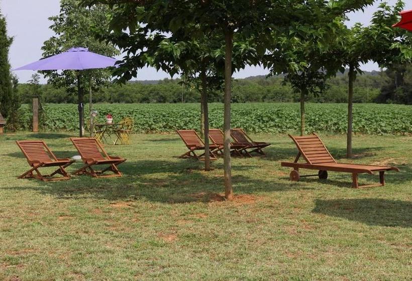 Hostal Nou De Crespià