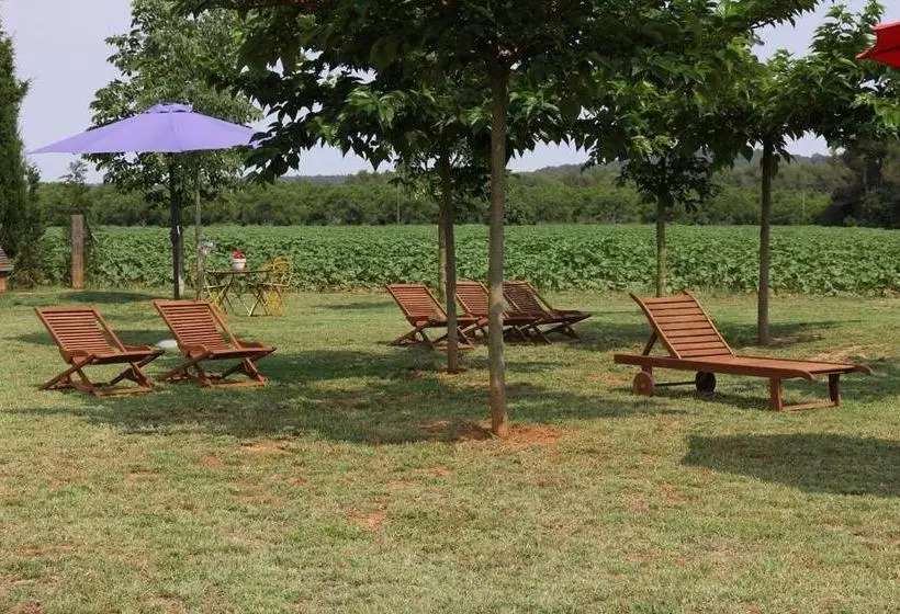 Hostal Nou De Crespià