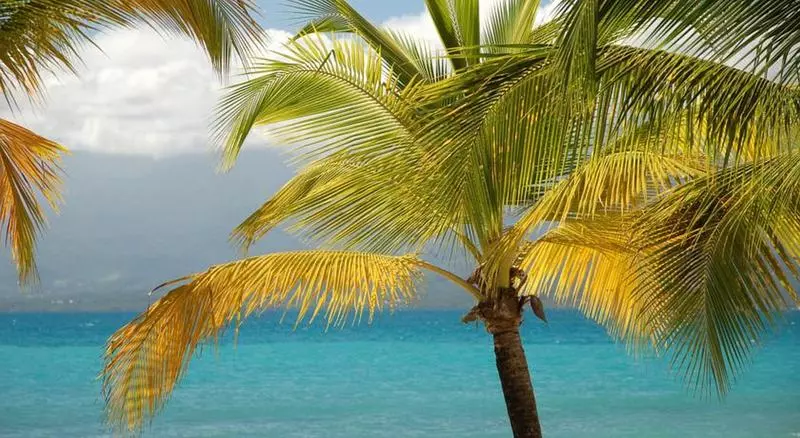 هتل Fleur D'epée