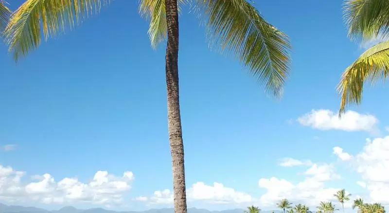 هتل Fleur D'epée