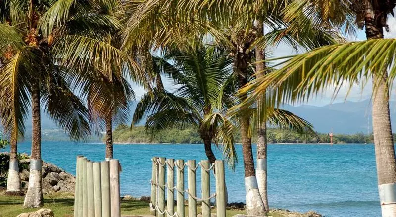 هتل Fleur D'epée