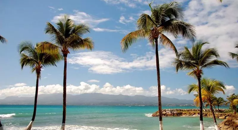 هتل Fleur D'epée