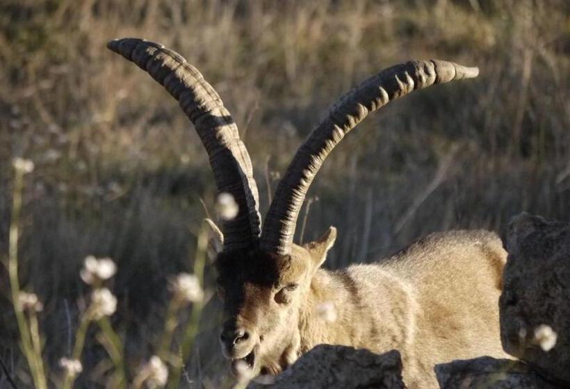 בית מלון כפרי Mas De La Serra