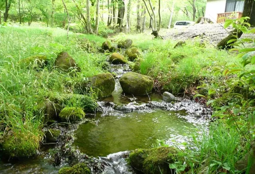 Отель Scotch Court