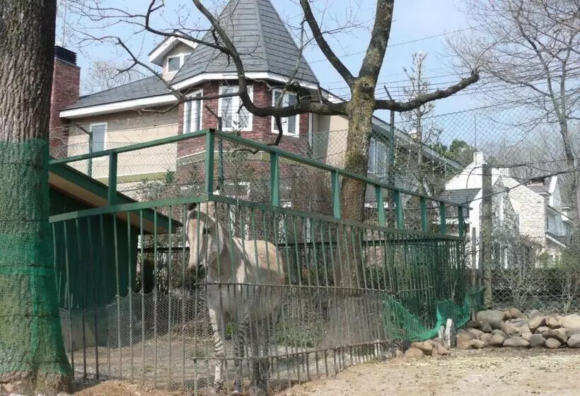 Отель Scotch Court