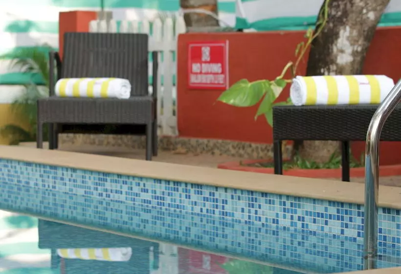 Szálloda Treebo Trend Vila De Goa