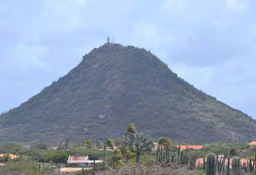 酒店 Wonders Boutique