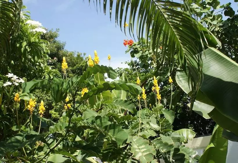 酒店 Wonders Boutique