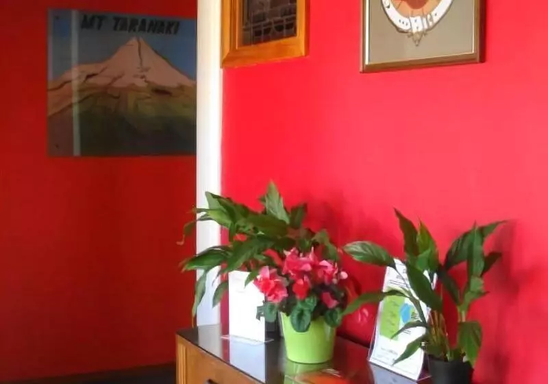 پانسیون Ducks & Drakes Boutique Motel & Backpackers