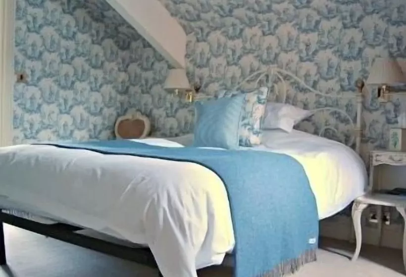 بنسيون The Old Vicarage Dolfor