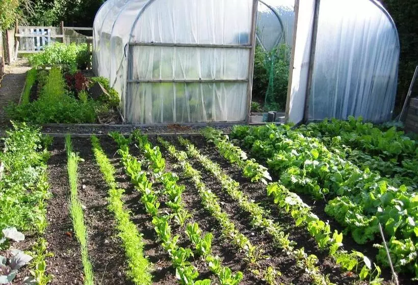 بنسيون The Old Vicarage Dolfor