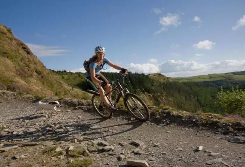 بنسيون The Old Vicarage Dolfor