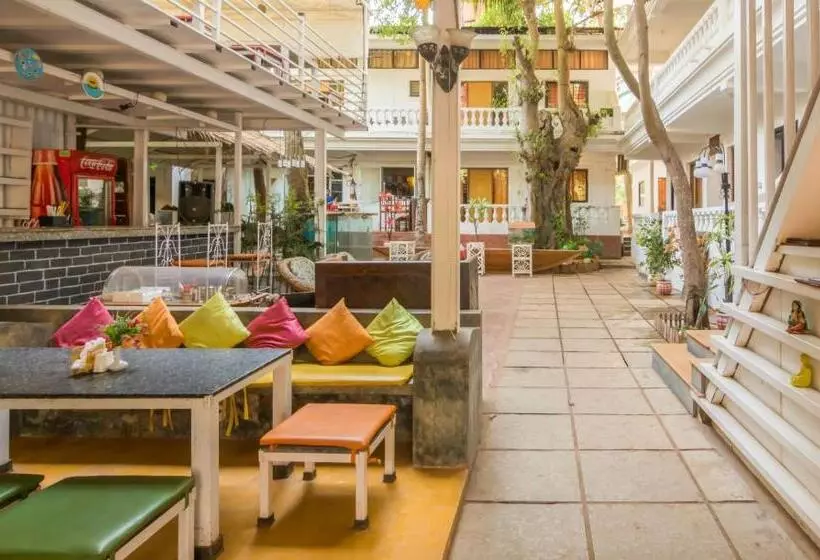 Pensão Wtf My House