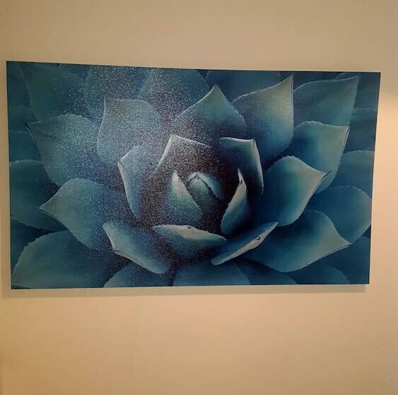 Tony Asga   Sakina Apartment