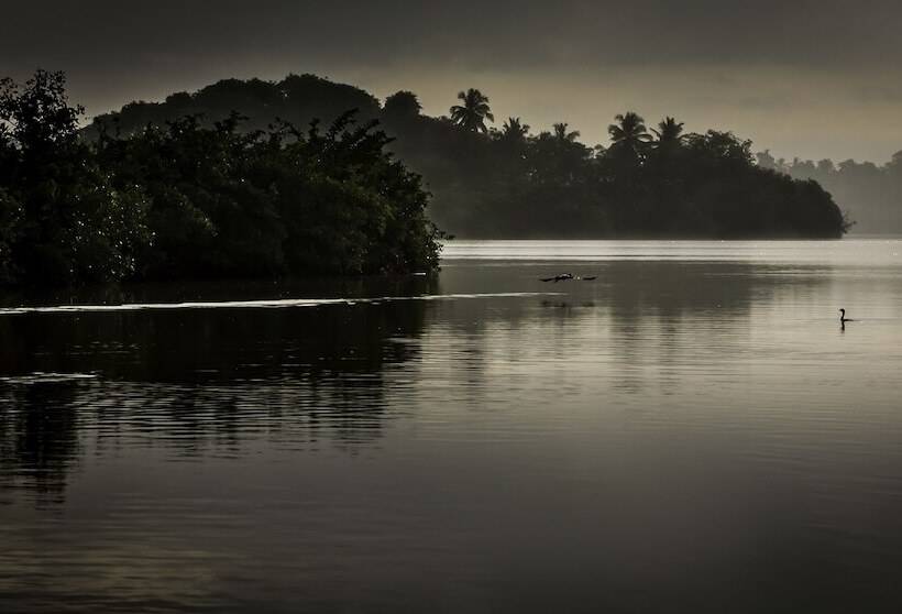 مبيت وإفطار Dcanal House