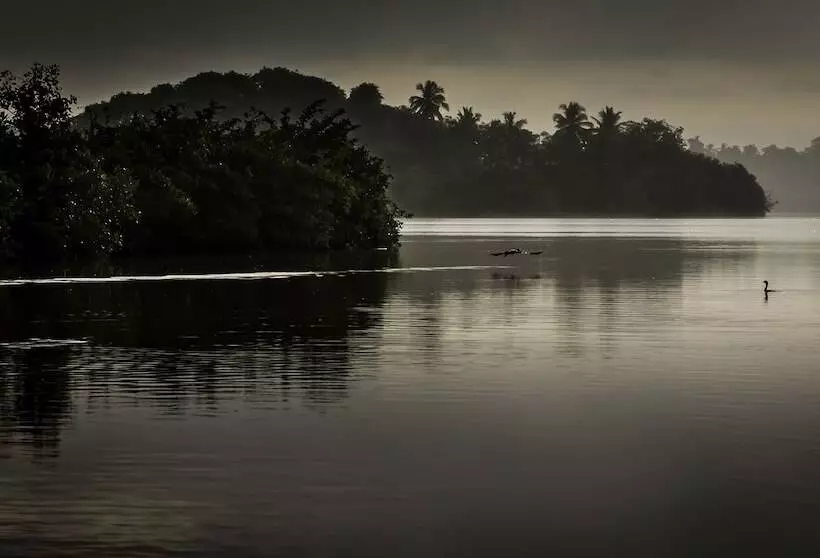 Aamiaismajoitus (B&B) Dcanal House