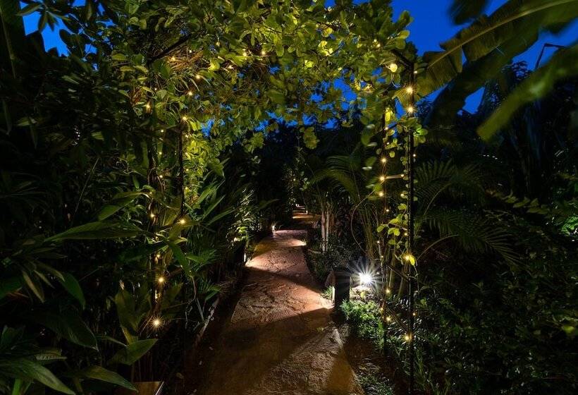 مبيت وإفطار Dcanal House