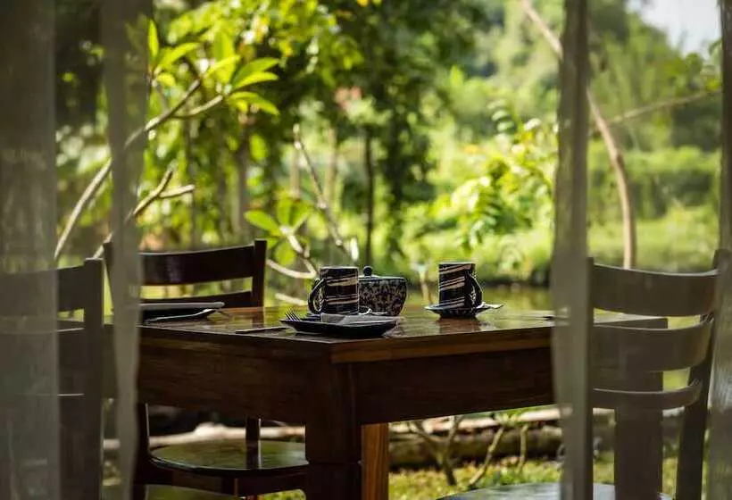 Aamiaismajoitus (B&B) Dcanal House