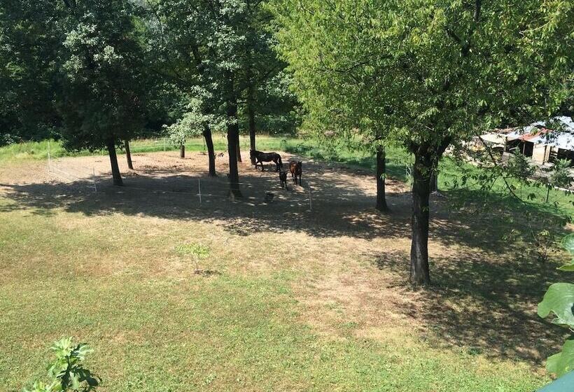 ベッドアンドブレックファースト Fattoria Sequoia