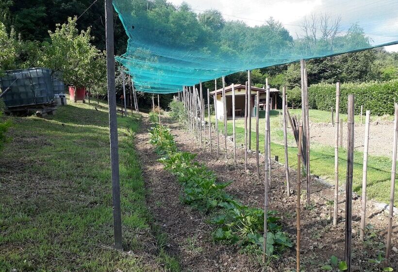 ベッドアンドブレックファースト Fattoria Sequoia