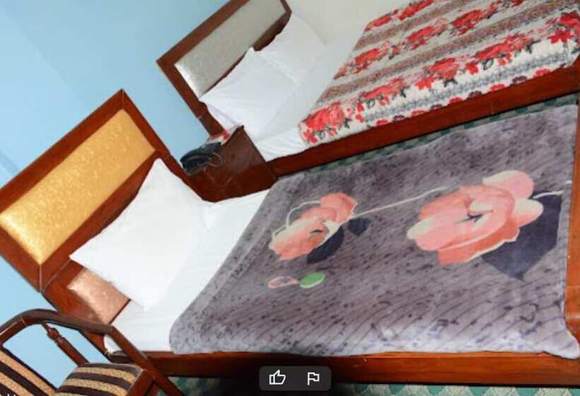 هتل Alpine Faizabad