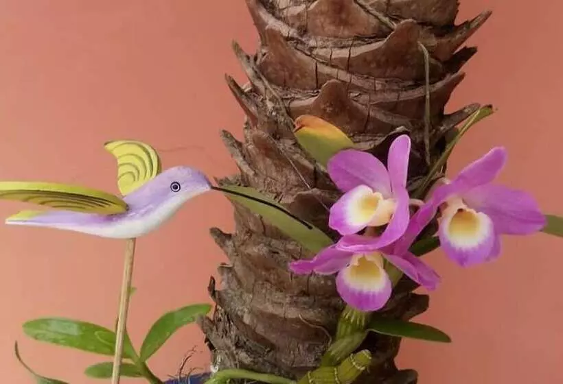 ホテル Pousada Do Atobá