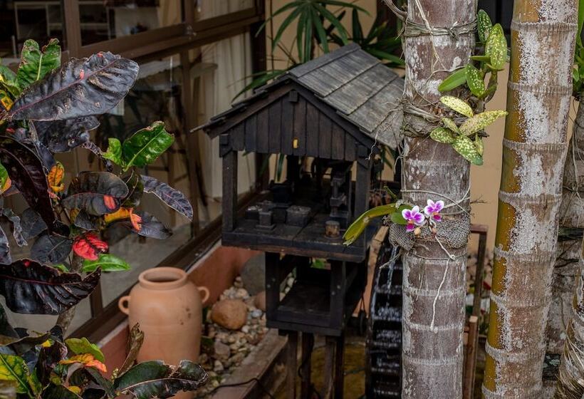 Отель Pousada Do Atobá