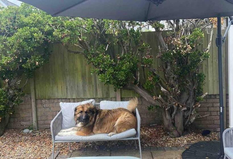 Residência Pet Friendly, Unique 4 Bed Bungalow In Porthcawl