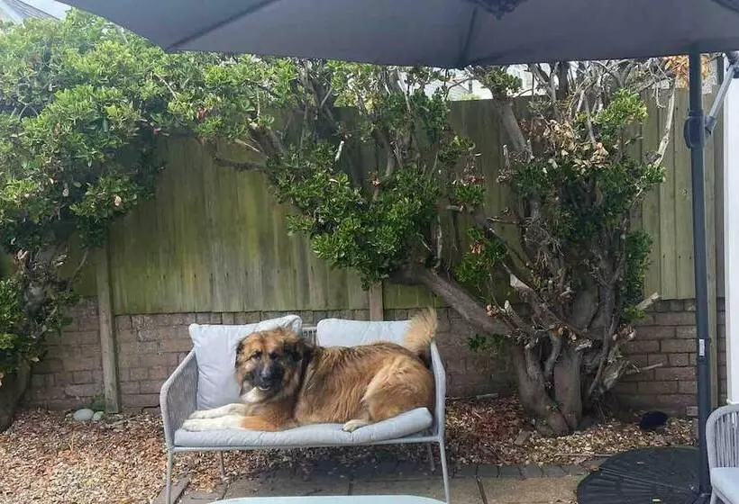 レジデンス Pet Friendly, Unique 4 Bed Bungalow In Porthcawl