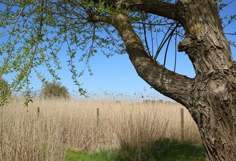 Birkelygaard Bed & Breakfast