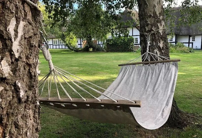 Birkelygaard Bed & Breakfast