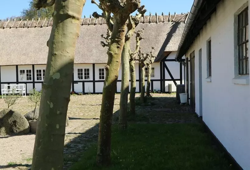 Birkelygaard Bed & Breakfast