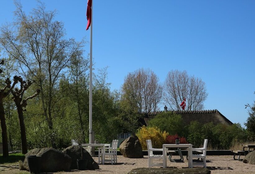 Birkelygaard Bed & Breakfast